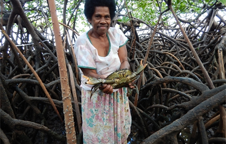 A local mud crab fisher from Bua Province, Fiji. CREDIT: Yashika Nand-WCS